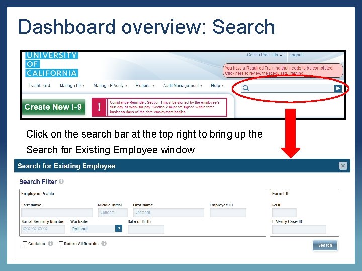 Dashboard overview: Search Click on the search bar at the top right to bring