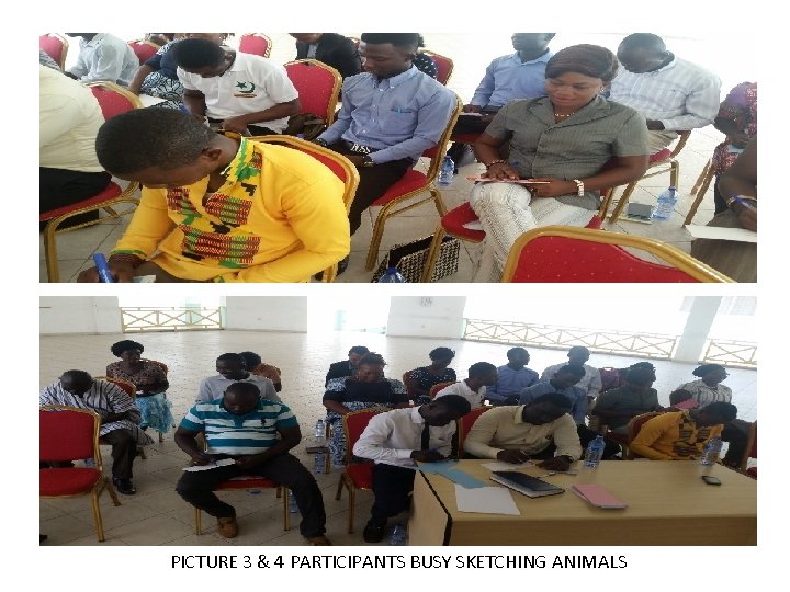 PICTURE 3 & 4 PARTICIPANTS BUSY SKETCHING ANIMALS 