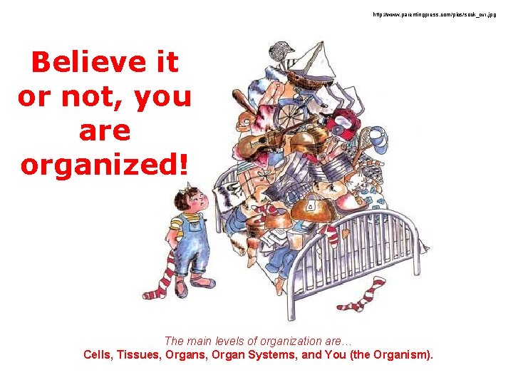 http: //www. parentingpress. com/pics/sock_cvr. jpg Believe it or not, you are organized! The main