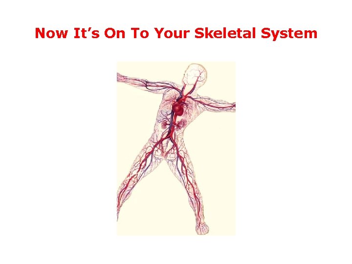 Now It’s On To Your Skeletal System 