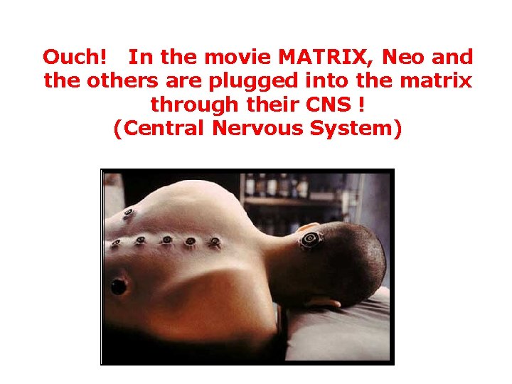 Ouch! In the movie MATRIX, Neo and the others are plugged into the matrix