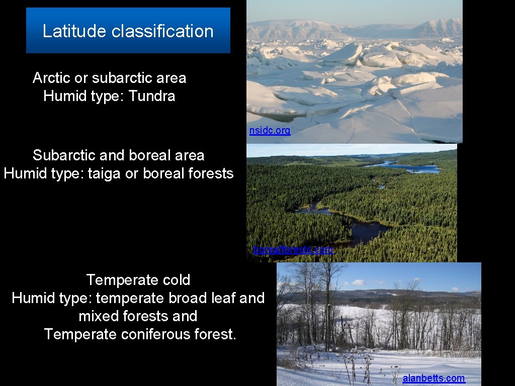 Latitude classification Arctic or subarctic area Humid type: Tundra nsidc. org Subarctic and boreal