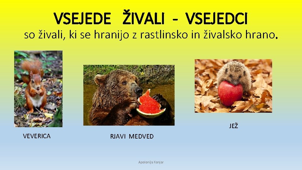 VSEJEDE ŽIVALI - VSEJEDCI so živali, ki se hranijo z rastlinsko in živalsko hrano.