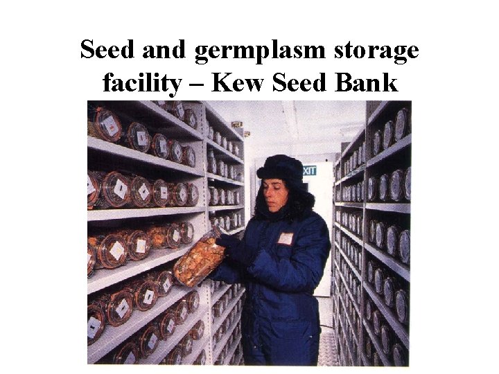 Seed and germplasm storage facility – Kew Seed Bank 