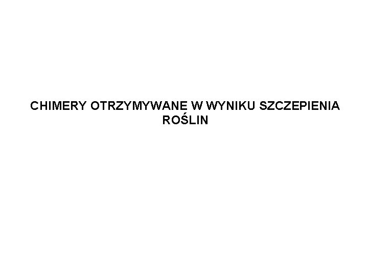 CHIMERY OTRZYMYWANE W WYNIKU SZCZEPIENIA ROŚLIN 