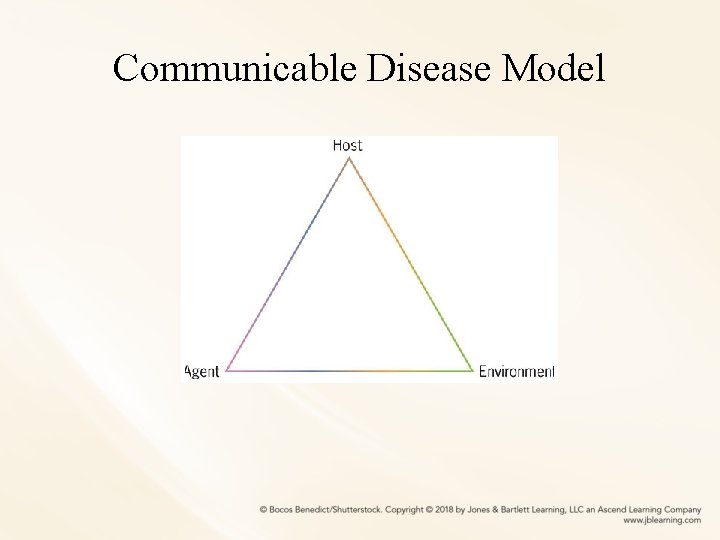Communicable Disease Model 