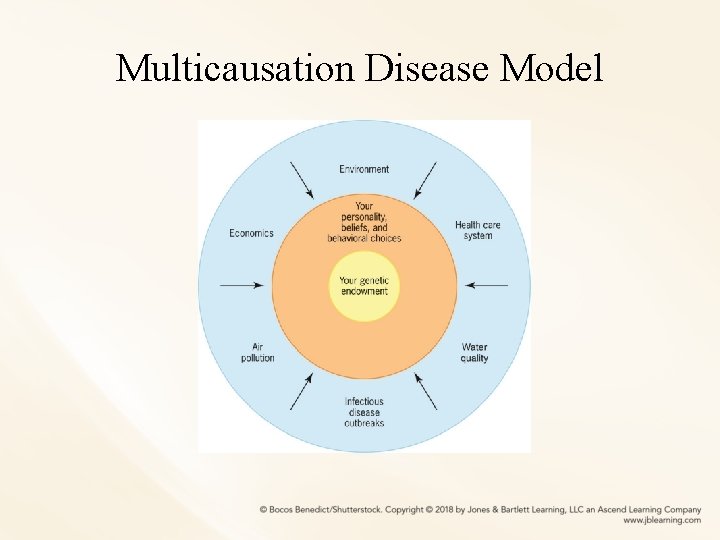 Multicausation Disease Model 