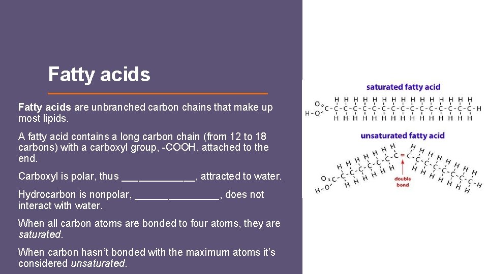 Fatty acids are unbranched carbon chains that make up most lipids. A fatty acid Fatty acids are unbranched carbon chains that make up most lipids. A fatty acid
