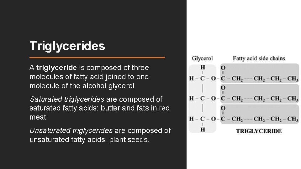 Triglycerides A triglyceride is composed of three molecules of fatty acid joined to one Triglycerides A triglyceride is composed of three molecules of fatty acid joined to one