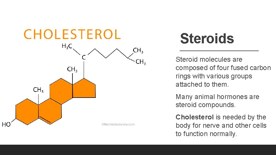 Steroids Steroid molecules are composed of four fused carbon rings with various groups attached Steroids Steroid molecules are composed of four fused carbon rings with various groups attached