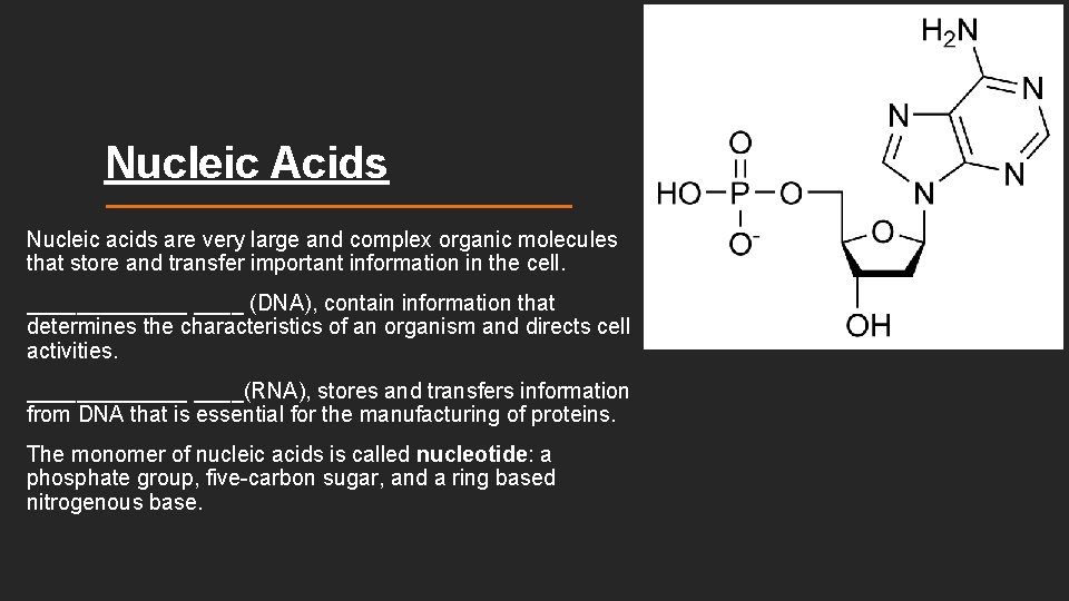 Nucleic Acids Nucleic acids are very large and complex organic molecules that store and Nucleic Acids Nucleic acids are very large and complex organic molecules that store and