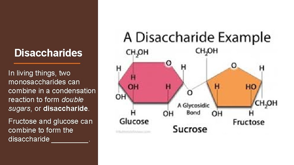 Disaccharides In living things, two monosaccharides can combine in a condensation reaction to form Disaccharides In living things, two monosaccharides can combine in a condensation reaction to form