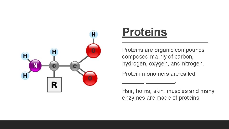 Proteins are organic compounds composed mainly of carbon, hydrogen, oxygen, and nitrogen. Protein monomers Proteins are organic compounds composed mainly of carbon, hydrogen, oxygen, and nitrogen. Protein monomers