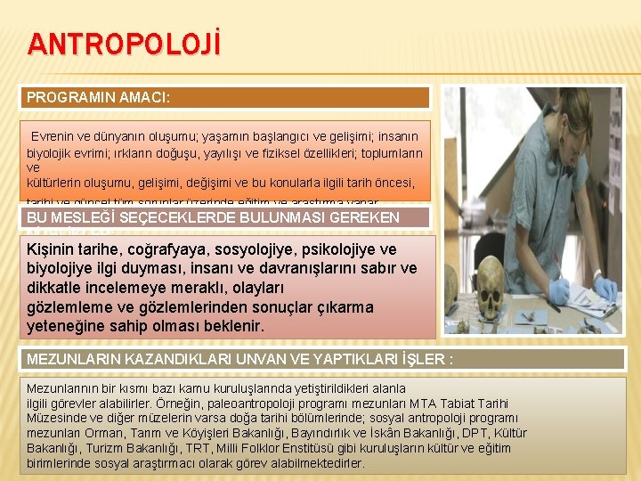 ANTROPOLOJİ PROGRAMIN AMACI: Evrenin ve dünyanın oluşumu; yaşamın başlangıcı ve gelişimi; insanın biyolojik evrimi;