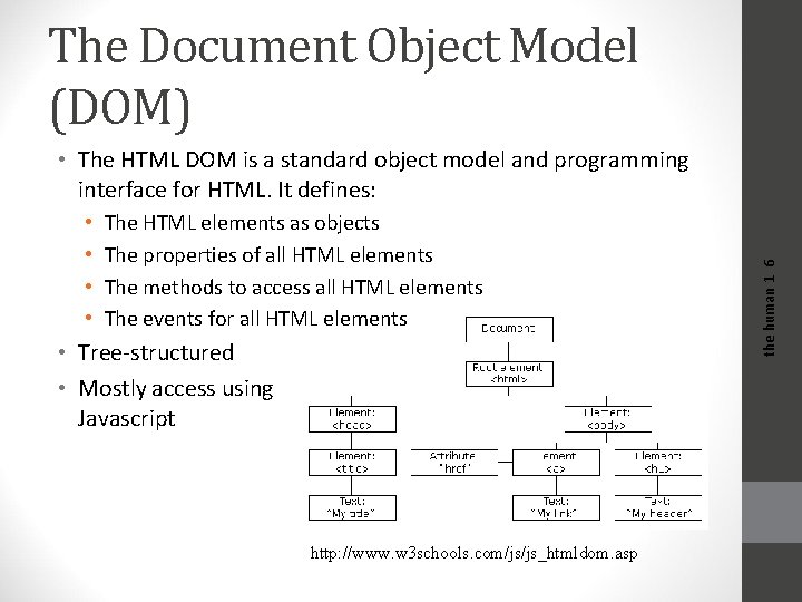 The Document Object Model (DOM) • • The HTML elements as objects The properties