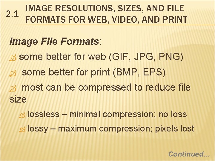 IMAGE RESOLUTIONS, SIZES, AND FILE 2. 1 FORMATS FOR WEB, VIDEO, AND PRINT Image