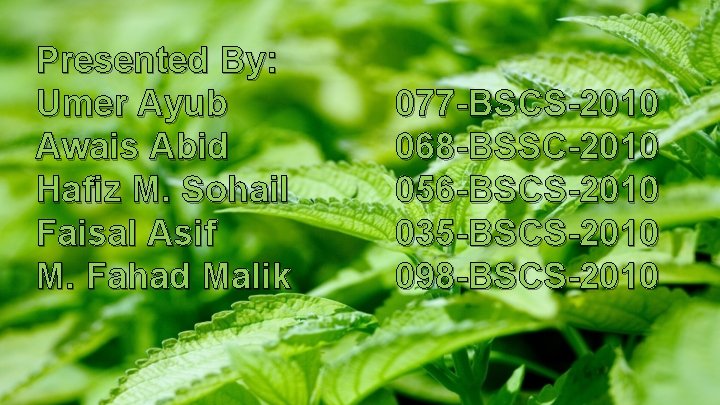 Presented By: Umer Ayub Awais Abid Hafiz M. Sohail Faisal Asif M. Fahad Malik