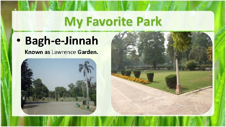 My Favorite Park • Bagh-e-Jinnah Known as Lawrence Garden. 