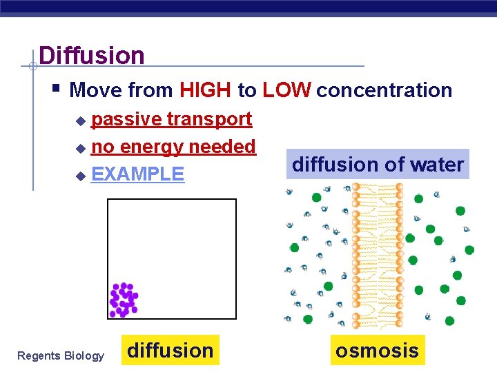 Diffusion § Move from HIGH to LOW concentration passive transport u no energy needed