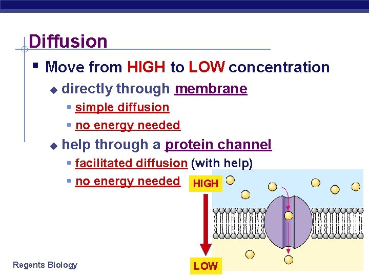Diffusion § Move from HIGH to LOW concentration u directly through membrane § simple