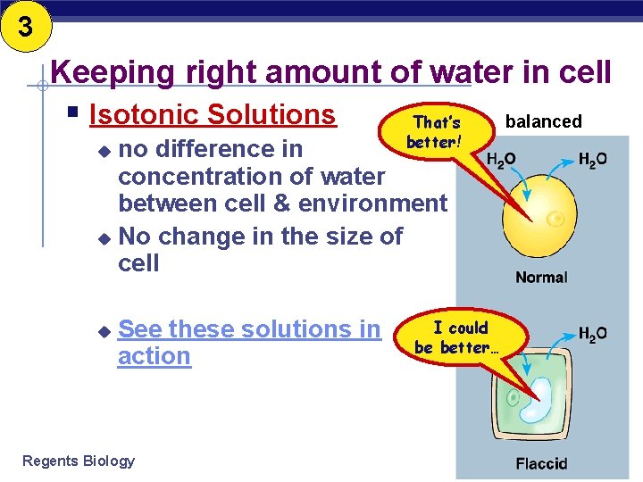 3 Keeping right amount of water in cell § Isotonic Solutions That’s better! no