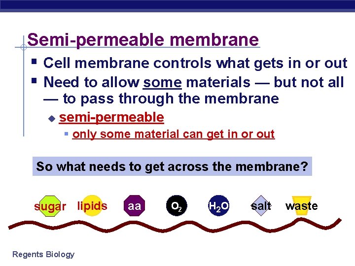 Semi-permeable membrane § Cell membrane controls what gets in or out § Need to