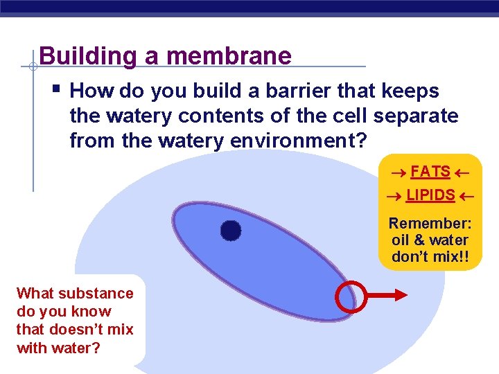 Building a membrane § How do you build a barrier that keeps the watery