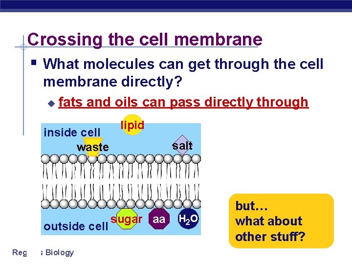 Crossing the cell membrane § What molecules can get through the cell membrane directly?