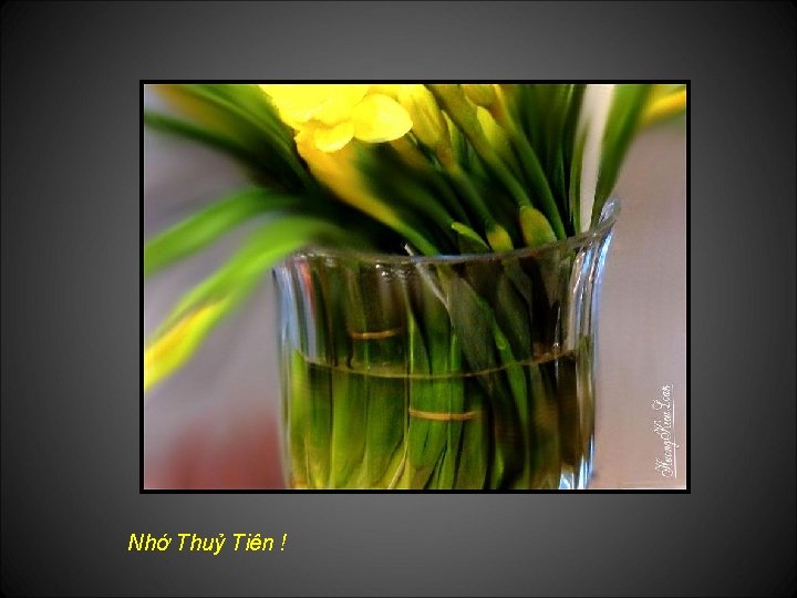 Nhớ Thuỷ Tiên ! 