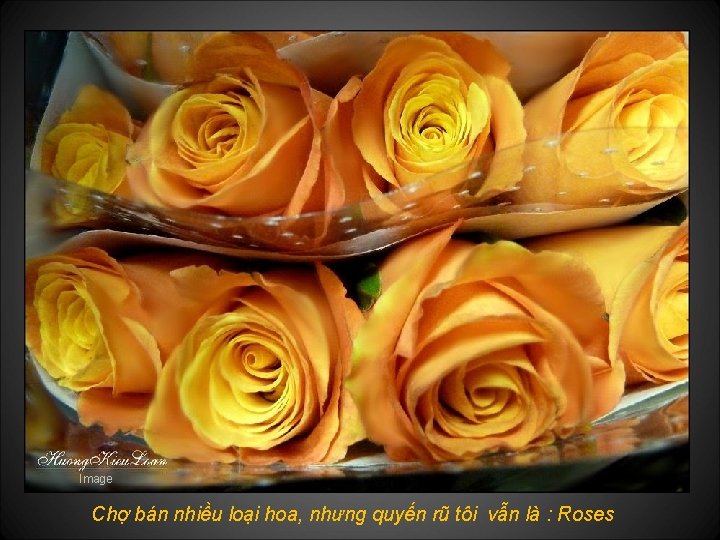 Image Chợ bán nhiều loại hoa, nhưng quyến rũ tôi vẫn là : Roses
