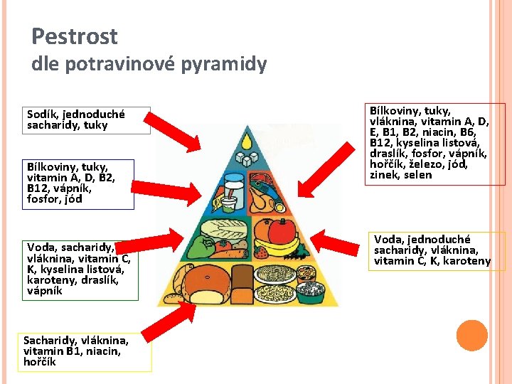 Pestrost dle potravinové pyramidy Bílkoviny, tuky, vláknina, vitamin A, D, E, B 1, B