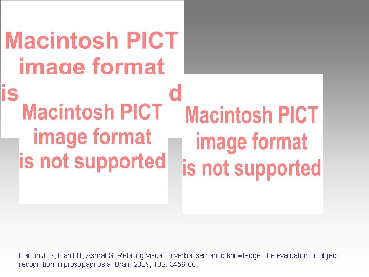 Barton JJS, Hanif H, Ashraf S. Relating visual to verbal semantic knowledge: the evaluation