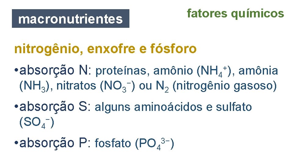 macronutrientes fatores químicos nitrogênio, enxofre e fósforo • absorção N: proteínas, amônio (NH 4+),