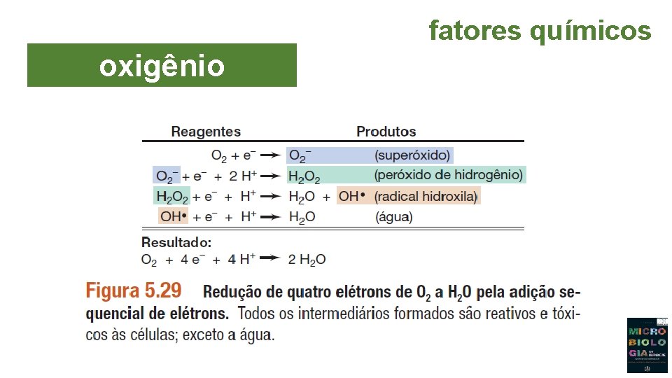 fatores químicos oxigênio 