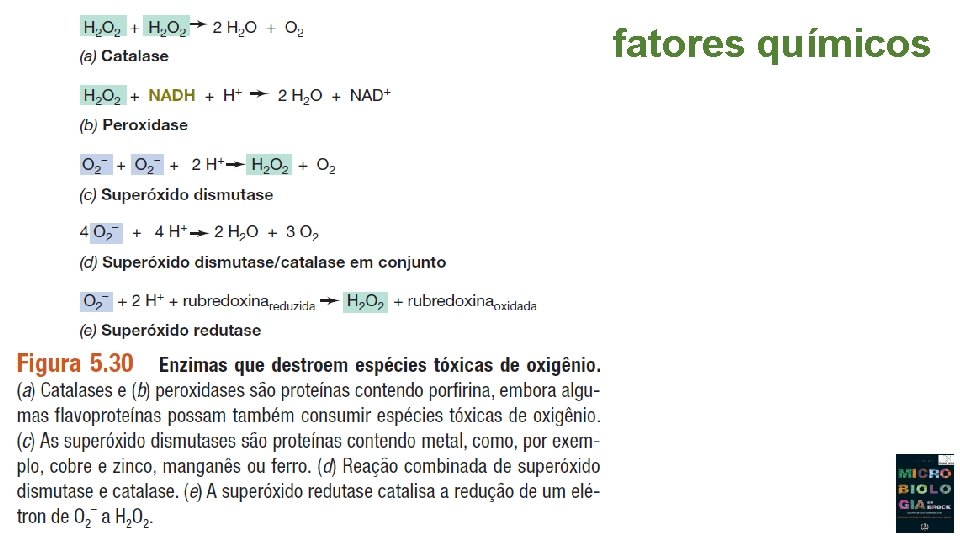 fatores químicos 