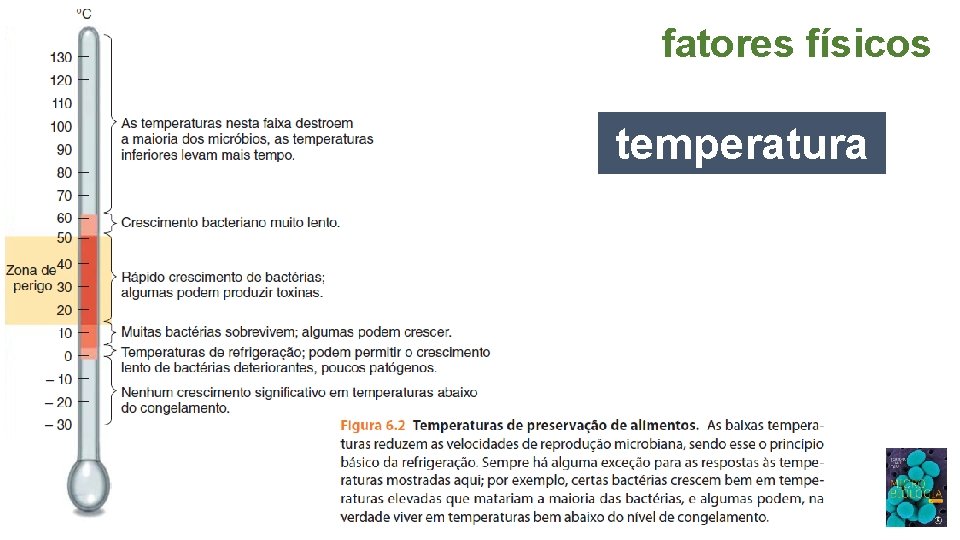 fatores físicos temperatura 