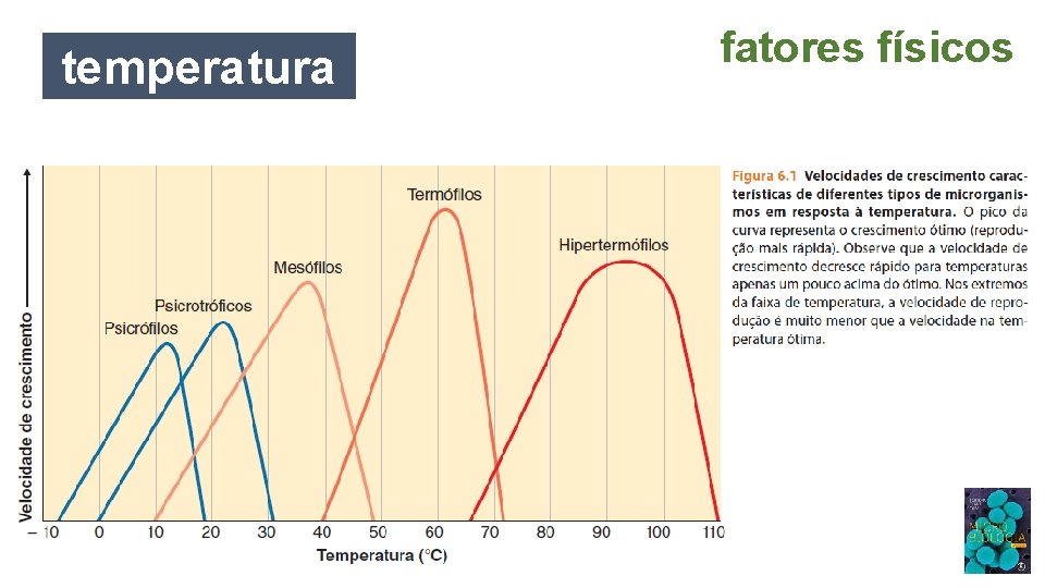 temperatura fatores físicos 