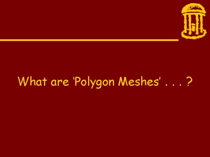 What are ‘Polygon Meshes’. . . ? 