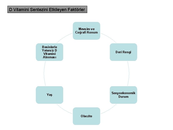D Vitamini Sentezini Etkileyen Faktörler Mevsim ve Coğrafi Konum Besinlerle Yetersiz D Vitamini Alınması