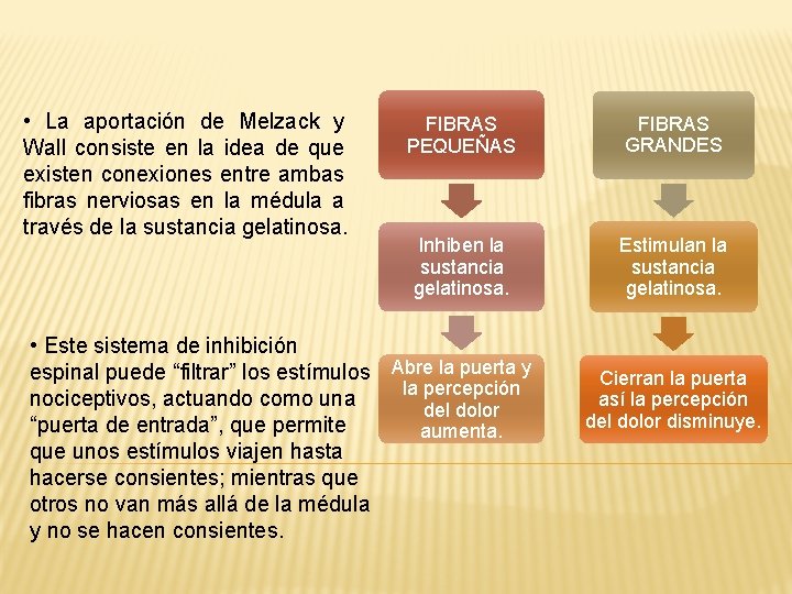  • La aportación de Melzack y Wall consiste en la idea de que