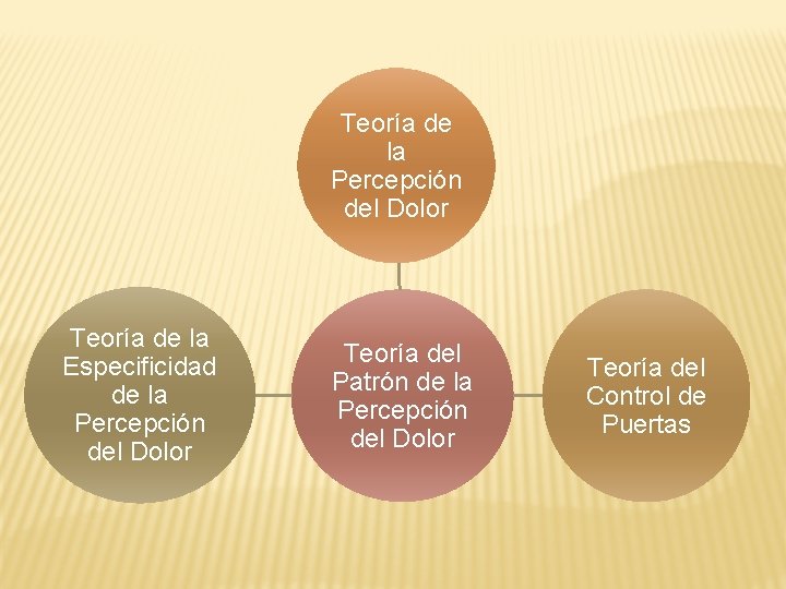 Teoría de la Percepción del Dolor Teoría de la Especificidad de la Percepción del