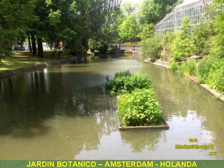 JARDIN BOTANICO – AMSTERDAM - HOLANDA 