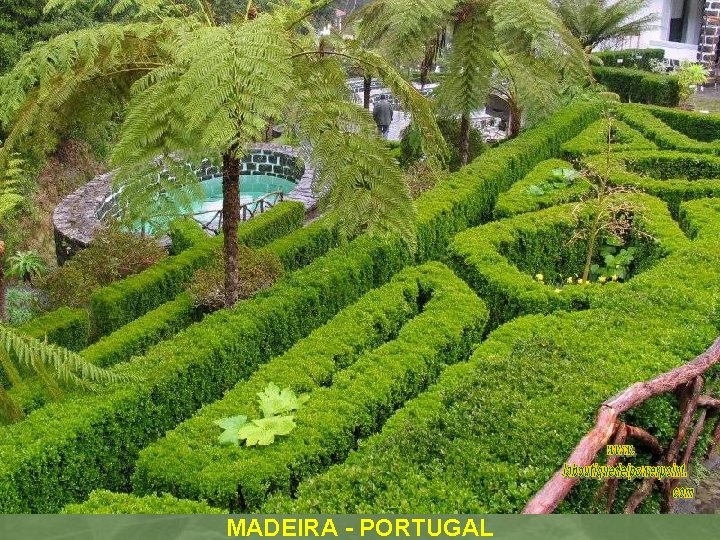 MADEIRA - PORTUGAL 