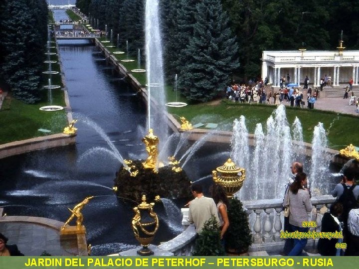 JARDIN DEL PALACIO DE PETERHOF – PETERSBURGO - RUSIA 