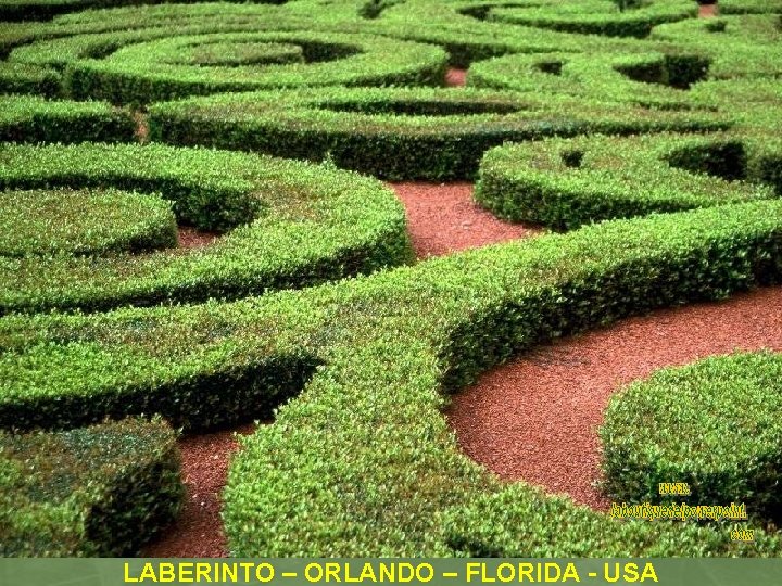 LABERINTO – ORLANDO – FLORIDA - USA 