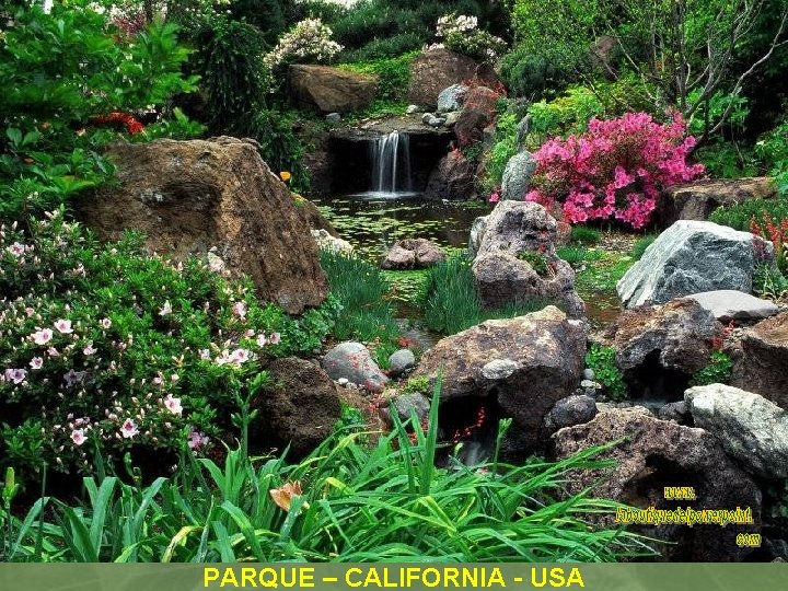 PARQUE – CALIFORNIA - USA 