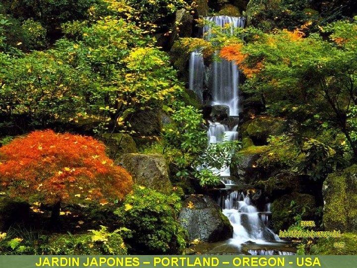 JARDIN JAPONES – PORTLAND – OREGON - USA 