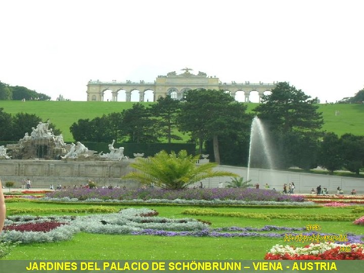 JARDINES DEL PALACIO DE SCHÖNBRUNN – VIENA - AUSTRIA 