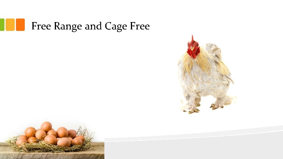 Free Range and Cage Free 