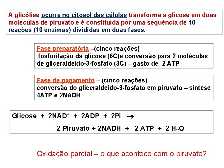 A glicólise ocorre no citosol das células transforma a glicose em duas moléculas de